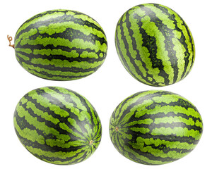 Watermelon isolated on white background, full depth of field