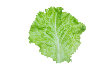 Lettuce. Salad leaf isolated on transparent background.