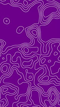 Abstract noisy and grungy white color moving topology lines on a purple background seamless looped animation. Abstract moving topographic map lines. Moving waving lines on purple background.