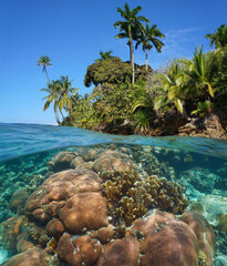 Tropical sea shore with a coral reef underwater, Caribbean sea, split view half over and under water surface, natural scene, Central America, Panama