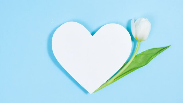 Natural white tulip flower appears next to the white paper heart. Greeting card for Valentine's Day, Mother's Day, Women's Day, Birthday or other holiday. Stop motion animation. Copy space. Flat Lay.