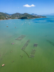 Oyster farm in Santo Antonio de Lisboa