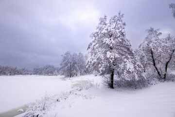 Fairytale winter landscape, dramatic sky over a snow-covered lake, pine tree covered with snow