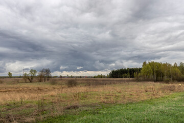 Dramatic sky, spring rural landscape with the first young greenery.