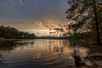 Large and small pine trees along the river against the backdrop of sunset.