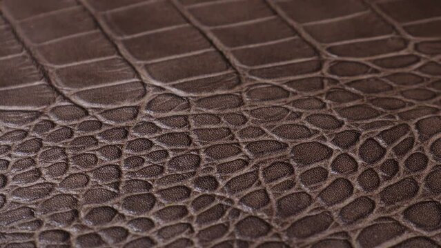 A chocolate brown leather sheet with the embossed pattern of a crocodile, rotating 360 degrees on an automatic table.