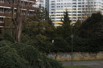 Urban landscape with trees