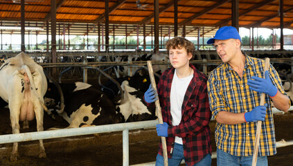 Farmer talking to focused teenage son while working together in outdoor cowshed at livestock farm ..