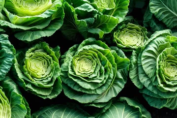 Fotobehang lots of colorful cabbage © viktorbond