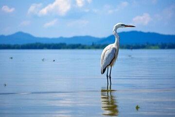 Naklejka premium Generative AI : Water bird in large lake at the central of Thailand