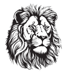 Lion portrait lion head sketch hand drawn engraving