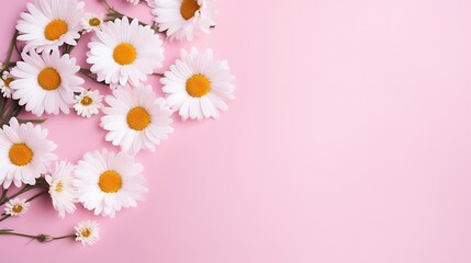 Generative AI : beautiful white daisy or chamomile flower falling in the air isolated on pastel pink background. - obrazy, fototapety, plakaty