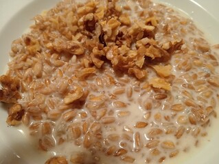 rice with chicken