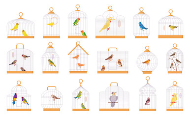 Cartoon bird cages. Exotic birds iron wire cages, decorative birds, parrot, finch, cute budgie, canary and cockatoo flat vector illustration set. Domestic birds sitting in cages