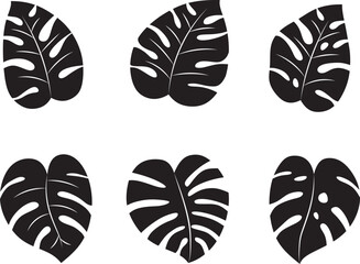 Silhouette of monstera leaves collection. EPS 10 - obrazy, fototapety, plakaty