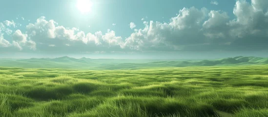 Foto op Canvas Grassy plains © AkuAku