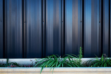 potted plants against corrugated metal wall outdoor