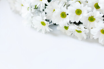 Bouquet of white flowers on light background with space for copy, daisy or chrysanthemum. Beautiful bouquet of light flowers on white background with space for text and advertisement, chrysanthemums