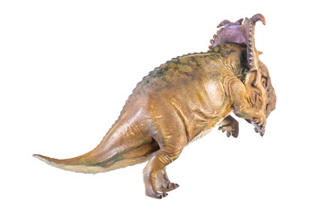 Pachyrhinosaurus dinosaur on isolated background