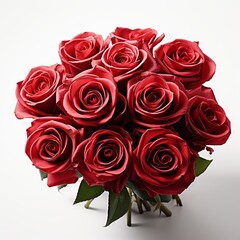 Elegant bouquet of red roses isolated on a white background