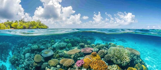Coral reef seascape with corals, South Male atoll, Maldives. - obrazy, fototapety, plakaty