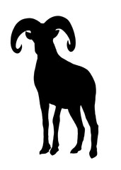 Silhouette of bighorn sheep isolated on white background 