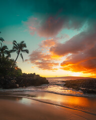 Hawaiian Sunset with Palm Trees in Orange and Teal