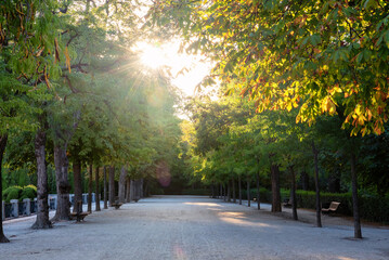 Early morning sunrise at Parque del Buen Retiro in Madrid, Spain
