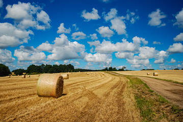 Golden farm field with hay bales after harvest under blue sky with white clouds. Farmland landscape. Norfolk, England, UK © Pawel