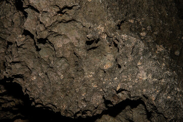 coral rocks texture stone 