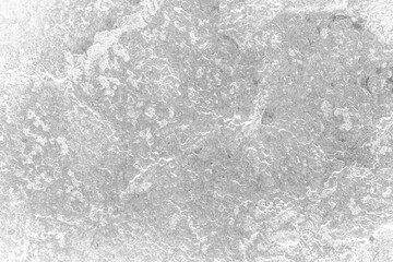 coral rocks texture stone 