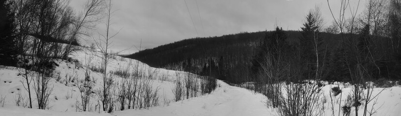Camping Station Chêne Rouge 7 Au 12 Janvier 2024  - Photostacking - N&B