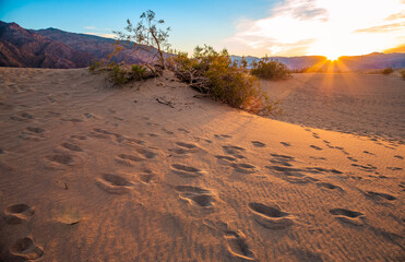 Stunning Sunset on the Dunes, Mesquite Flat Sand Dunes, Death Valley National Park, California