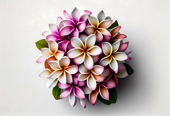 bouquet of Frangipani pink violet flower on white background. Flat lay, top view, with a lot of cop space. HD, hyper realistic, lifelike, minimalism, simple, No text , No watermark, 32K