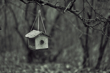 Serene scene captures wooden birdhouse hanging from tree branch outdoors. Emphasizes solitude, tranquility in nature. Undisturbed habitat represents conservation efforts