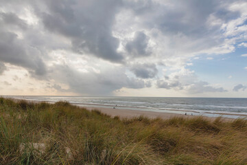 Dünen und Strand auf der Insel Texel