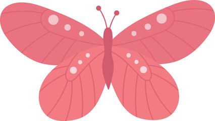 Butterfly Insect Icon