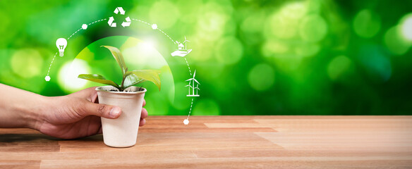 Businessman holding green plant with eco digital design icon symbolize environmental friendly...