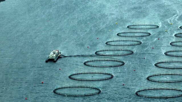 Aerial Panning Scenic Shot Of Fish Farming In Wavy Sea With Circled Shaped Equipment - Faroe Islands, Denmark