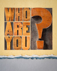 who are you question - word abstract in letterpress wood type blocks on art paper, identity and...