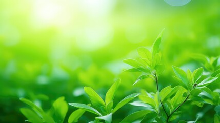 abstract blur green background illustration vibrant foliage, fresh tranquil, lush vibrant abstract blur green background