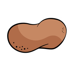 Fresh potato in sketch style vector