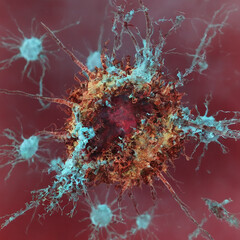 Immune Response - Cells Attacking Virus in Dynamic Microscopic Battle - obrazy, fototapety, plakaty