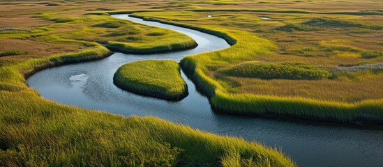 Meandering channels flow through a salt marsh in Pleasant Bay, Cape Cod, Massachusetts. Marshes are wetlands that provide habitats for fish, invertebrates, and various bird species. - obrazy, fototapety, plakaty