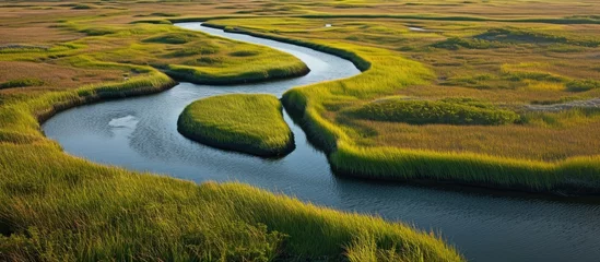 Wandcirkels tuinposter Meandering channels flow through a salt marsh in Pleasant Bay, Cape Cod, Massachusetts. Marshes are wetlands that provide habitats for fish, invertebrates, and various bird species. © AkuAku