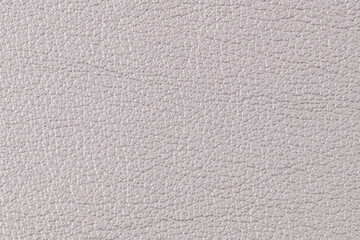 Grey leather texture closeup