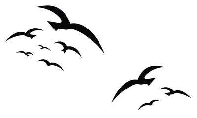 flock of birds flying silhouette	