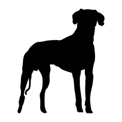 Dog Silhouette Collection Vector 