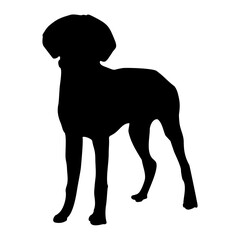 Dog Silhouette Collection Vector 