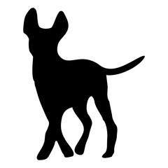 Dog Silhouette Collection Vector 